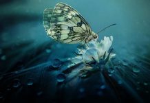 古埃及靈氣對我身體的改變 古埃及靈氣對我身體的改變